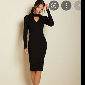 RW & CO Bodycon Ribbed sweater dress